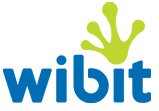 Wibit